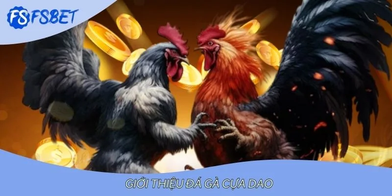 Giới thiệu đá gà cựa dao