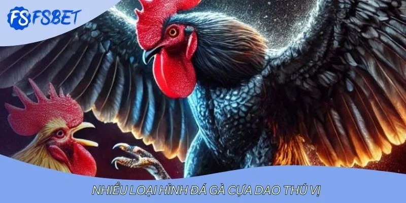 Nhiều loại hình đá gà cựa dao thú vị