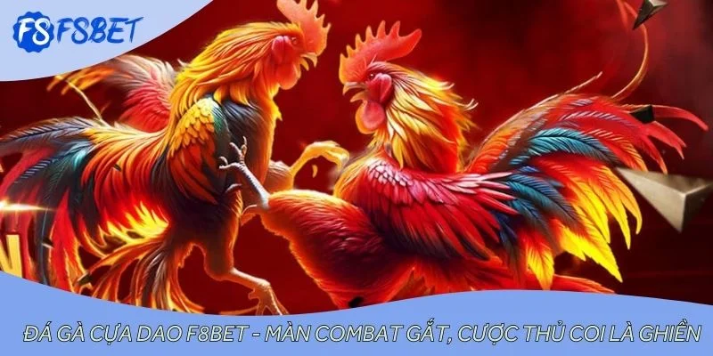 Đá Gà Cựa Dao F8BET - Màn Combat Gắt, Cược Thủ Coi Là Ghiền