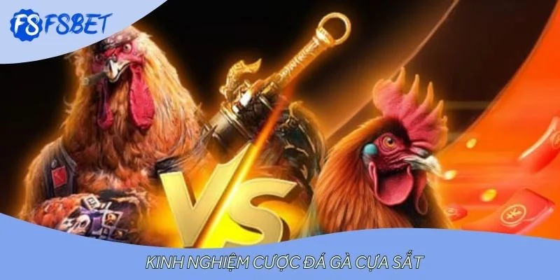 Kinh nghiệm cược đá gà cựa sắt