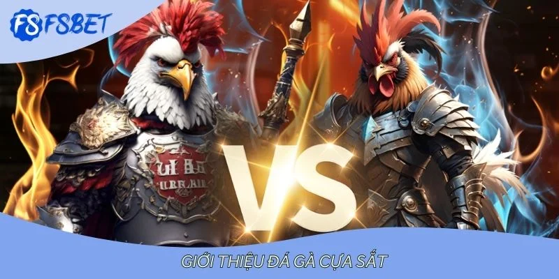 Giới thiệu đá gà cựa sắt