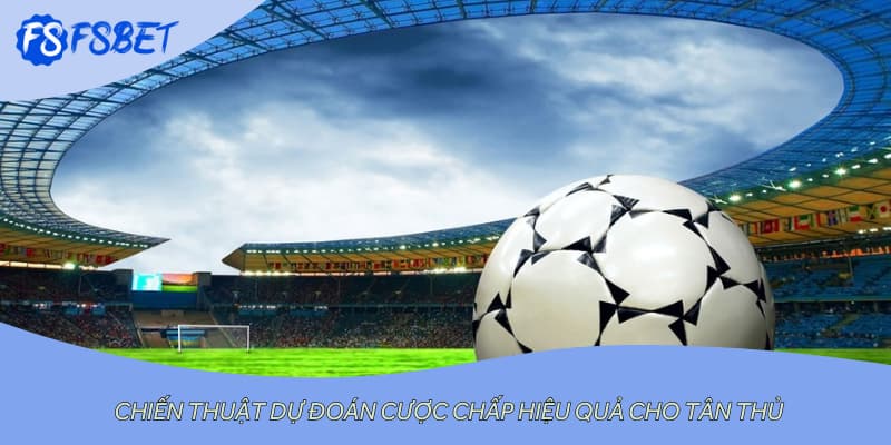 Chiến thuật dự đoán cược chấp hiệu quả cho tân thủ