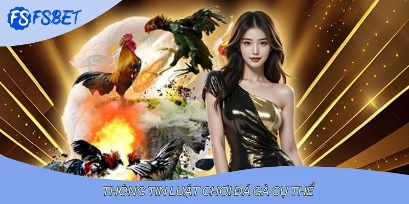 Thông tin luật chơi đá gà cụ thể