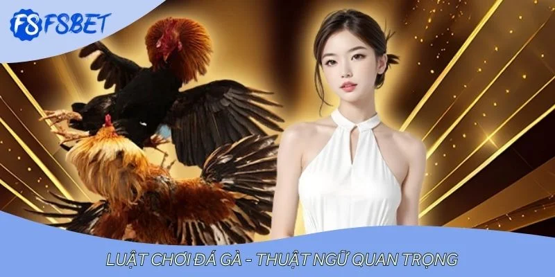 Luật chơi đá gà - Thuật ngữ quan trọng
